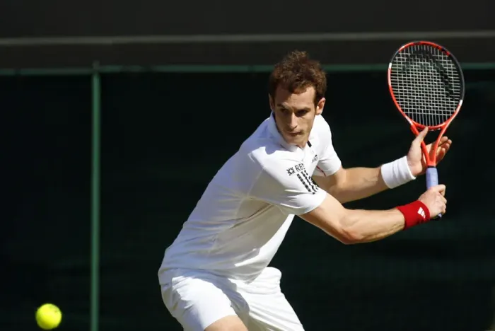 Framed Print : Andy Murray Framed Print : Andy Murray