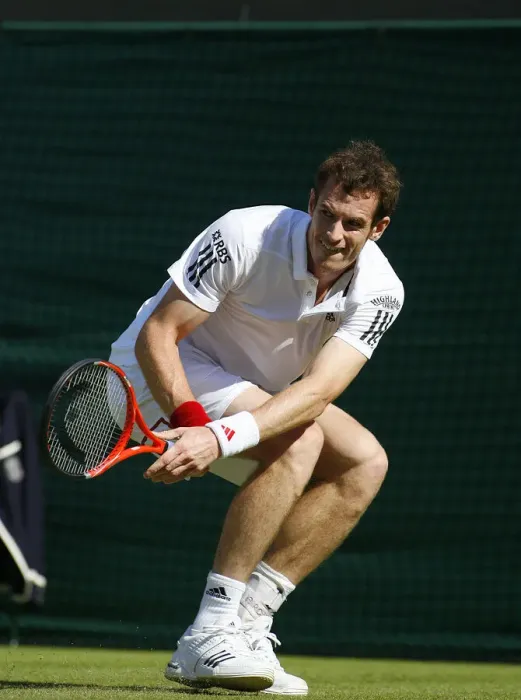 Framed Print : Andy Murray Framed Print : Andy Murray