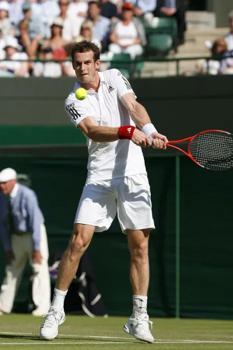 Framed Print : Andy Murray Framed Print : Andy Murray