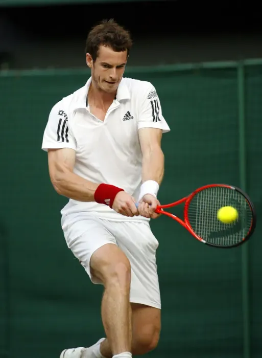 Framed Print : Andy Murray Framed Print : Andy Murray