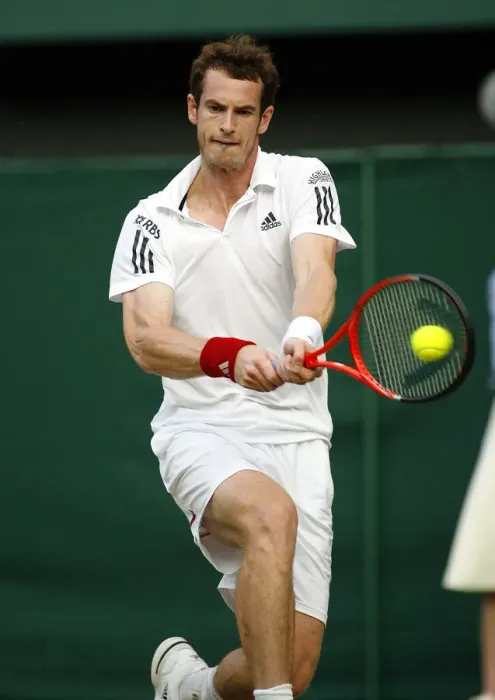 Framed Print : Andy Murray Framed Print : Andy Murray