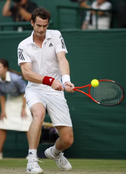 Framed Print : Andy Murray Framed Print : Andy Murray