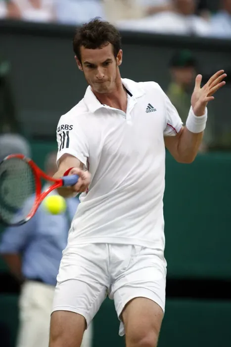 Framed Print : Andy Murray Framed Print : Andy Murray