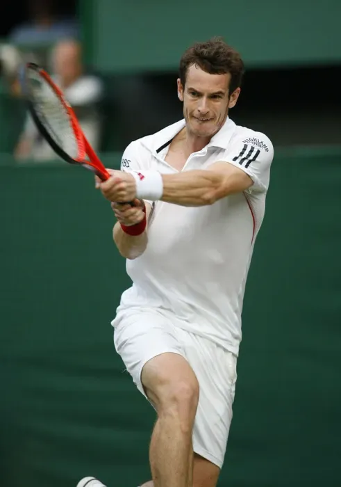 Framed Print : Andy Murray Framed Print : Andy Murray