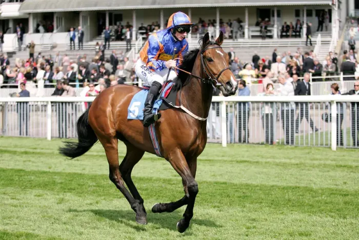 Framed Print : Annemasse Ridden By Tony Hamilton York May Festival 2008 York Racecourse Framed Print : Annemasse Ridden By Tony Hamilton York May Festival 2008 York Racecourse
