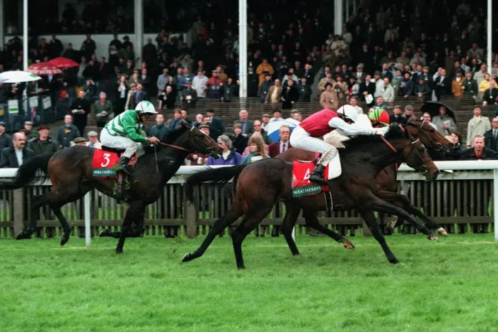Framed Print : Apprehension Wins The Sefton