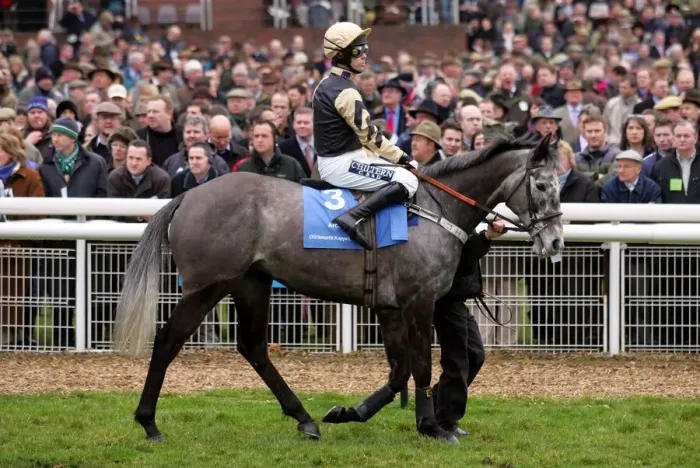 Framed Print : Arcalis Ridden By G.Lee Cheltenham Festival 2006 Cheltenham Racecourse
