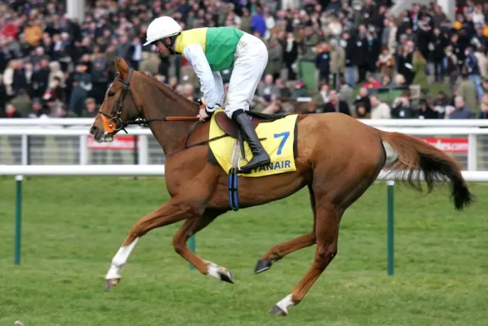 Framed Print : Armaturk Ridden By Christian Williams Cheltenham Festival 2006 Cheltenham Racecourse Framed Print : Armaturk Ridden By Christian Williams Cheltenham Festival 2006 Cheltenham Racecourse