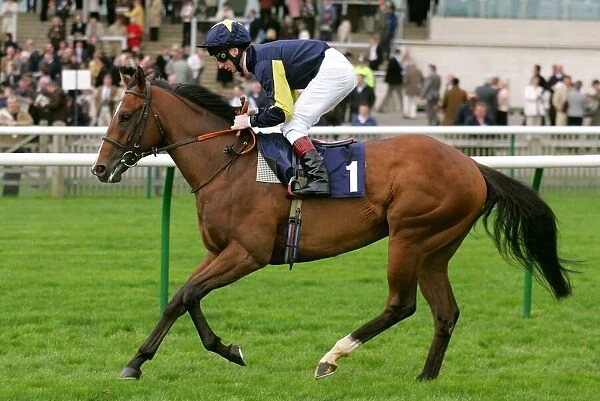 Arzaag Ridden By Martin Dwyer Craven Meeting, Newmarket Rowley Mile Course
