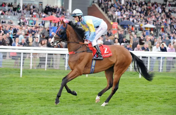 Framed Print : Asker Tau Ridden By George Baker Dante Festival Framed Print : Asker Tau Ridden By George Baker Dante Festival