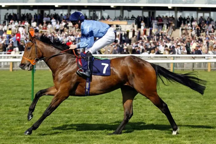 Framed Print : Asset Ridden By Richard Hughes Newmarket Craven Meeting 2007 Rowley Mile Course