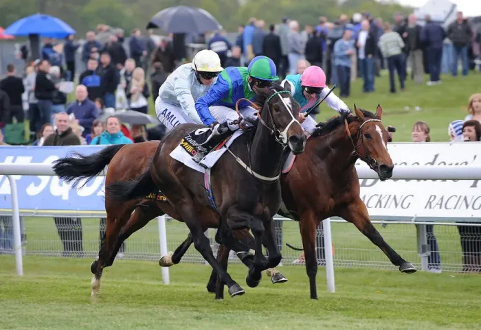 Framed Print : Aviate Ridden By Eddie Ahern Rail Side Wins Ahead Of Gold Bu Framed Print : Aviate Ridden By Eddie Ahern Rail Side Wins Ahead Of Gold Bu