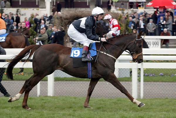 Awake Ridden By Martin Dwyer Doncaster Lincoln Meeting Doncaster