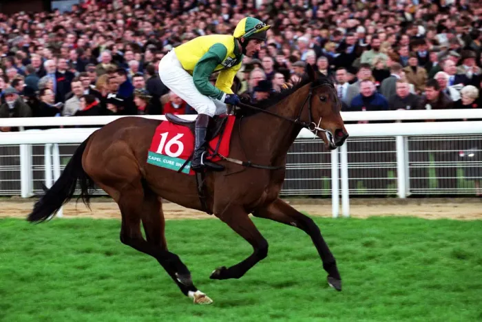 Framed Print : Baclama Ridden By Roderick Green 14 March 2000 Date: 14 March 2000 Framed Print : Baclama Ridden By Roderick Green 14 March 2000 Date: 14 March 2000