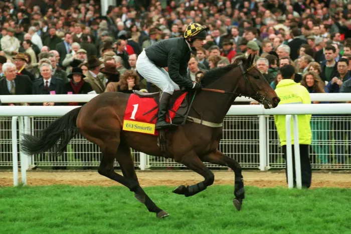 Framed Print : Bellator Ridden By B.Fenton 24 March 1998 Date: 24 March 1998 Framed Print : Bellator Ridden By B.Fenton 24 March 1998 Date: 24 March 1998