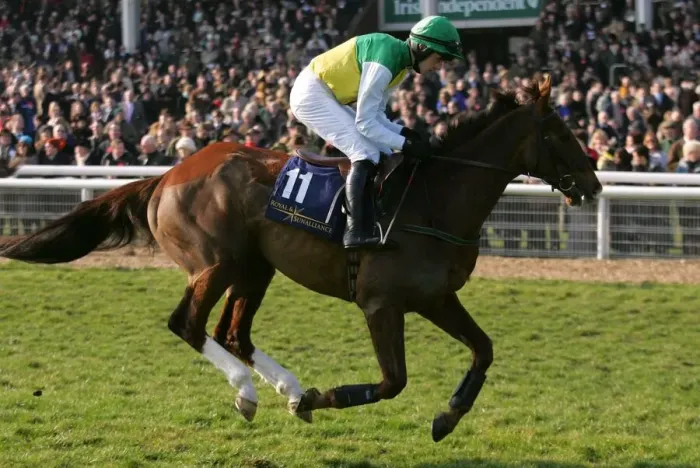 Framed Print : Our Ben Ridden By R.Walsh Cheltenham Festival 2006 Cheltenham Racecourse Framed Print : Our Ben Ridden By R.Walsh Cheltenham Festival 2006 Cheltenham Racecourse