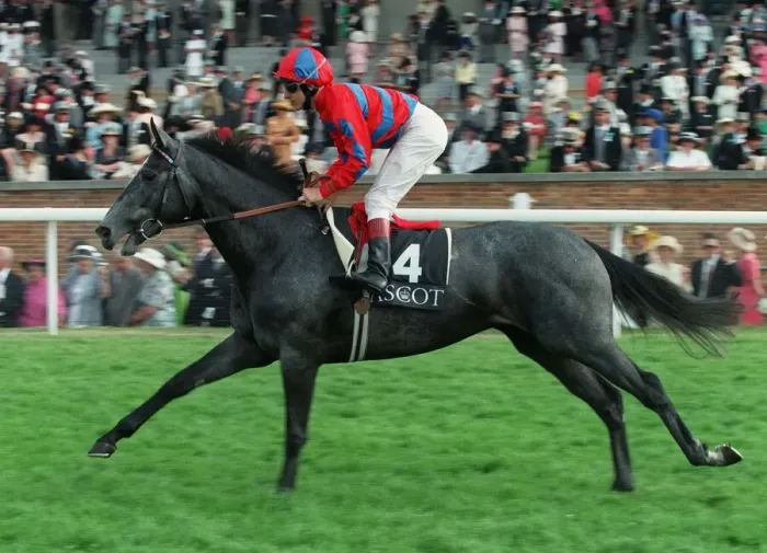 Framed Print : Benatom Ridden By W.Ryan 09 July 1996 Date: 09 July 1996