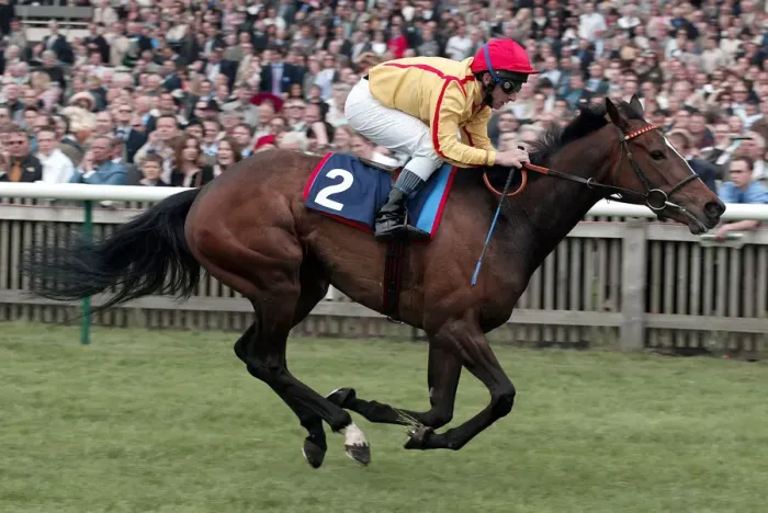 Framed Print : Beneventa Ridden By S.Sanders Newmarket Guineas Festival 04 Newmarket Racecourse Framed Print : Beneventa Ridden By S.Sanders Newmarket Guineas Festival 04 Newmarket Racecourse