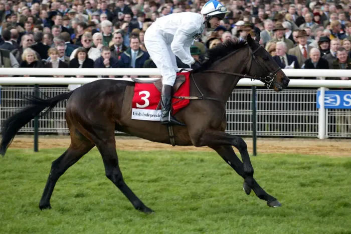 Framed Print : Bernardon Ridden By Richard Guest Cheltenham Festival Cheltenham Racecourse Framed Print : Bernardon Ridden By Richard Guest Cheltenham Festival Cheltenham Racecourse