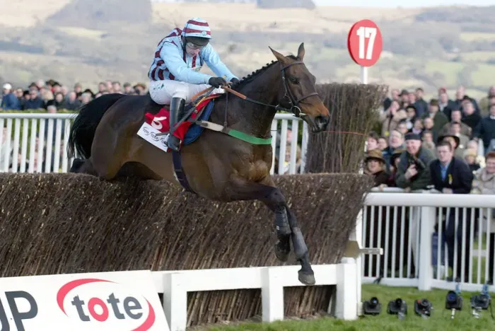 Framed Print : Best Mate Wins The Cheltenham Framed Print : Best Mate Wins The Cheltenham