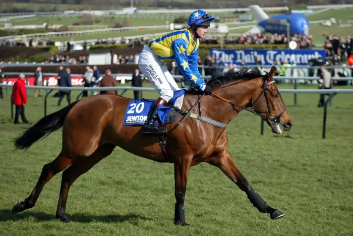 Framed Print : Big Rob Ridden By J.Tizzard Cheltenham Festival 2005 Cheltenham Racecourse Framed Print : Big Rob Ridden By J.Tizzard Cheltenham Festival 2005 Cheltenham Racecourse