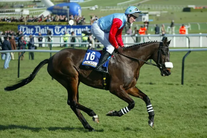 Framed Print : Bizet Ridden By J.Cullen Cheltenham Festival 2005 Cheltenham Racecourse Framed Print : Bizet Ridden By J.Cullen Cheltenham Festival 2005 Cheltenham Racecourse