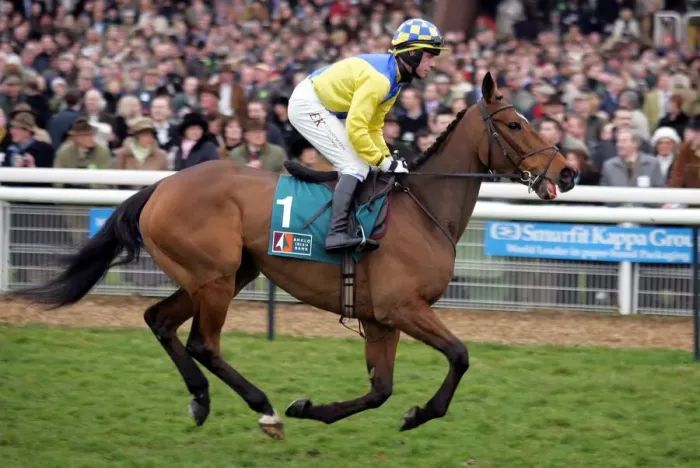 Framed Print : Blueberry Ridden By Denis O Regan Cheltenham Festival 2006 Cheltenham Racecourse