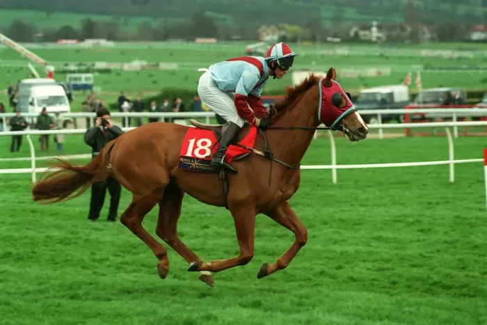 Framed Print : Borazon Ridden By Carl Llewellyn 23 March 1998 Date: 23 March 1998 Framed Print : Borazon Ridden By Carl Llewellyn 23 March 1998 Date: 23 March 1998