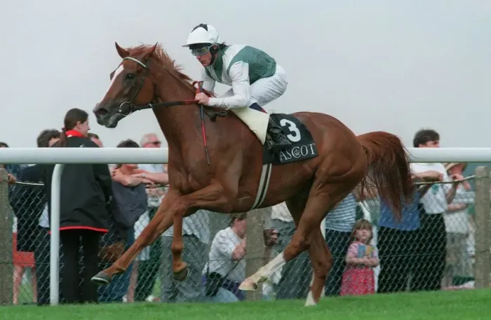 Framed Print : Bosra Sham (K. Fallon) Wins Framed Print : Bosra Sham (K. Fallon) Wins