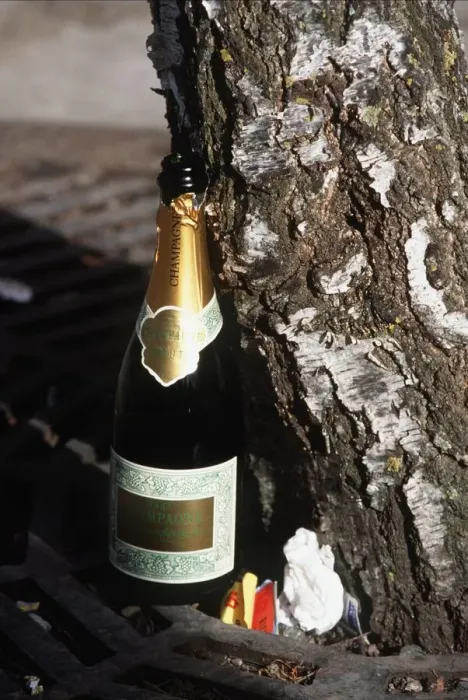 Framed Print : Empty Bottle Of Champagne Framed Print : Empty Bottle Of Champagne