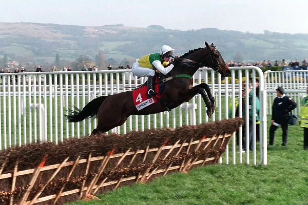 Brown Lad. Ridden By S.Durak 22 March 1999 Date: 22 March 1999