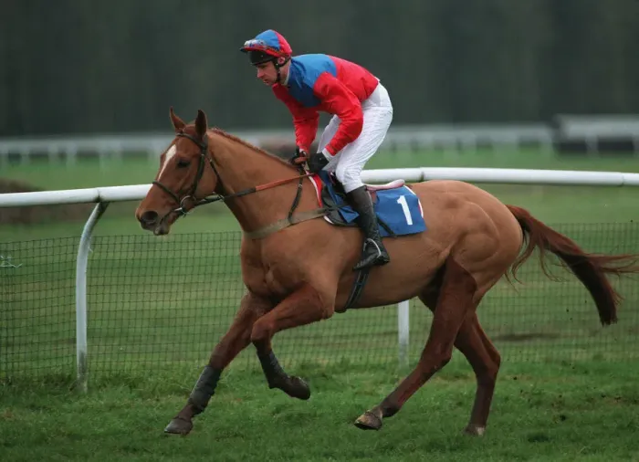 Framed Print : Burnt Imp Ridden By Jason Callaghan 01 March 1994 Date: 01 March 1994