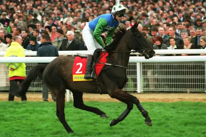 Framed Print : Cadougold Ridden By Mick Fitzgerald 24 March 1998 Date: 24 March 1998 Framed Print : Cadougold Ridden By Mick Fitzgerald 24 March 1998 Date: 24 March 1998