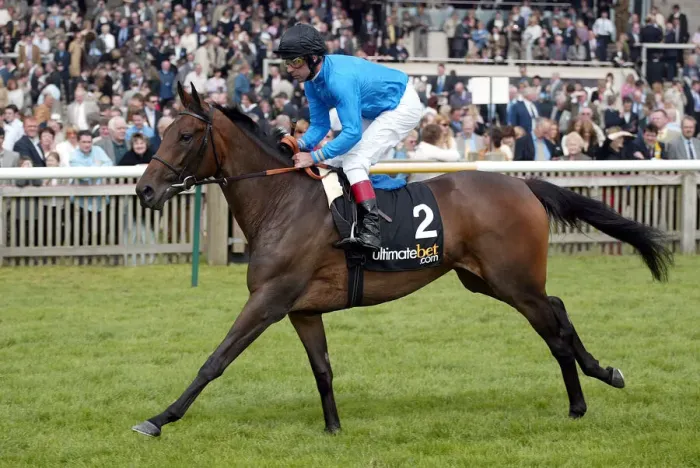 Framed Print : Cairns Ridden By J.Carroll Newmarket Guineas Festival 04 Newmarket Racecourse Framed Print : Cairns Ridden By J.Carroll Newmarket Guineas Festival 04 Newmarket Racecourse