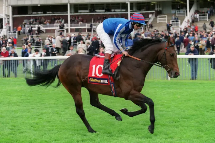 Framed Print : Calcutta Ridden By M.Hills 13 May 1999 Date: 13 May 1999 Framed Print : Calcutta Ridden By M.Hills 13 May 1999 Date: 13 May 1999