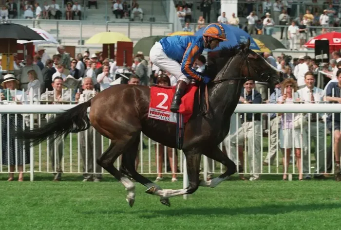 Framed Print : Camporese Ridden By J.Reid 26 June 1996 Date: 26 June 1996 Framed Print : Camporese Ridden By J.Reid 26 June 1996 Date: 26 June 1996