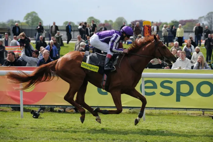 Framed Print : Cape Blanco Ridden By Johnny Murtagh Wins Ahead Of Workforce Framed Print : Cape Blanco Ridden By Johnny Murtagh Wins Ahead Of Workforce