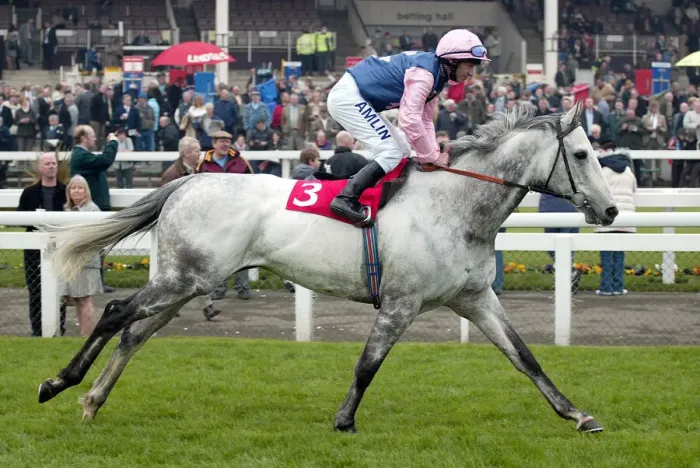 Framed Print : Capricho Ridden By T.Quinn Lincoln Meeting Doncaster Doncaster Racecourse