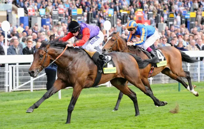 Framed Print : Carlton House Ridden By Ryan Moore Wins Ahead Of Seville Rid Framed Print : Carlton House Ridden By Ryan Moore Wins Ahead Of Seville Rid
