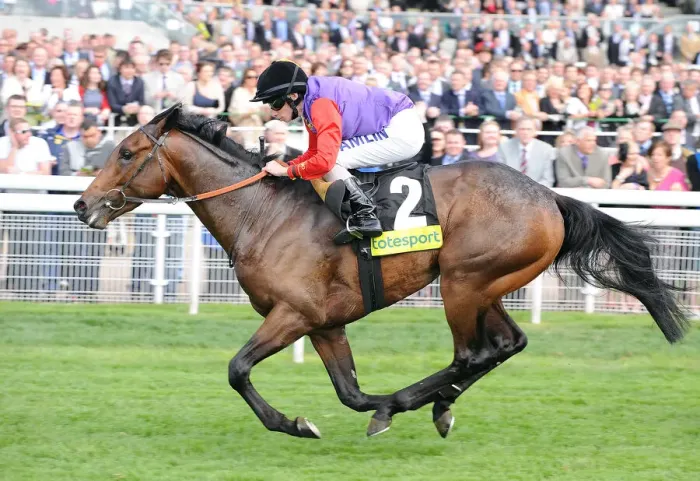 Framed Print : Carlton House Ridden By Ryan Moore Wins Ahead Of Seville Rid