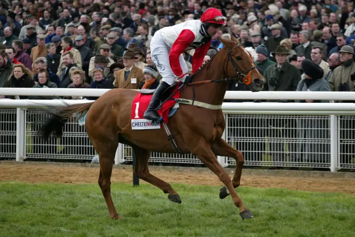 Framed Print : Cenkos Ridden By T.J.Murphy Cheltenham Festival 2002 Cheltenham Racecourse Framed Print : Cenkos Ridden By T.J.Murphy Cheltenham Festival 2002 Cheltenham Racecourse