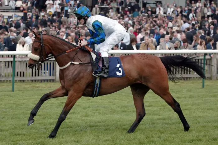 Framed Print : Chantress Ridden By J.Murtagh Newmarket Guineas Festival 04 Newmarket Racecourse Framed Print : Chantress Ridden By J.Murtagh Newmarket Guineas Festival 04 Newmarket Racecourse