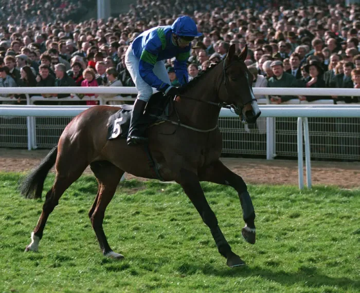Framed Print : Chatam Ridden By Peter Scudamore 18 March 1993 Date: 18 March 1993 Framed Print : Chatam Ridden By Peter Scudamore 18 March 1993 Date: 18 March 1993