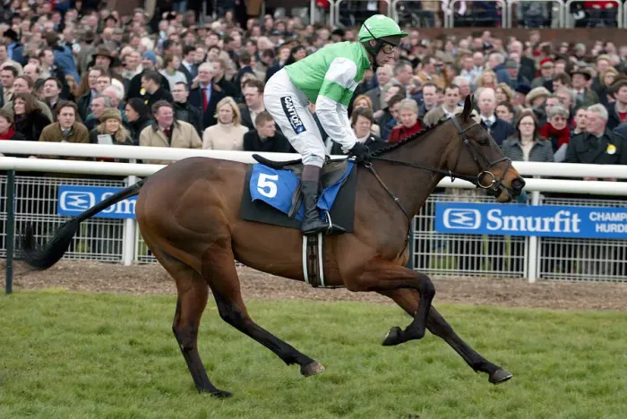 Framed Print : Cherub Ridden By M.A.Fitzgerald Cheltenham Festival 2005 Cheltenham Racecourse Framed Print : Cherub Ridden By M.A.Fitzgerald Cheltenham Festival 2005 Cheltenham Racecourse