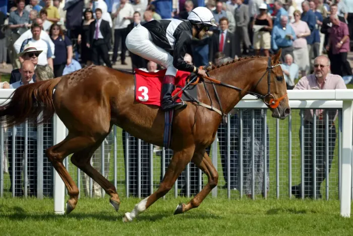 Framed Print : Continent Ridden By D.Holland York Races York Racecourse, York 16 May 2002 Date