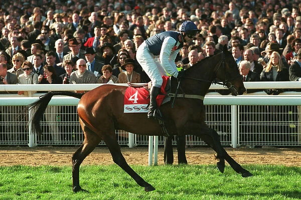Cool Dawn Ridden By Andrew Thornton 20 March 1998 Date: 20 March 1998