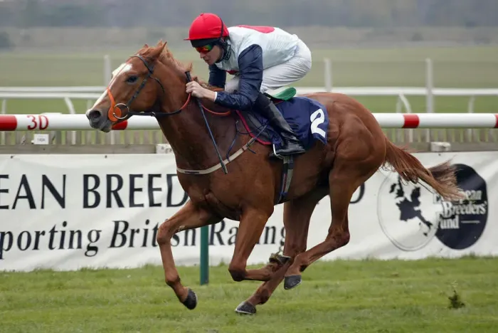 Framed Print : Cornus Ridden By R.Hughes Newmarket Craven Meeting Newmarket Racecourse Framed Print : Cornus Ridden By R.Hughes Newmarket Craven Meeting Newmarket Racecourse