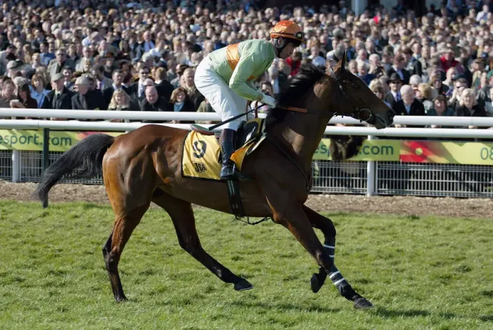 Framed Print : Danaw Ridden By L.Metais Cheltenham Festival 2005 Cheltenham Racecourse Framed Print : Danaw Ridden By L.Metais Cheltenham Festival 2005 Cheltenham Racecourse