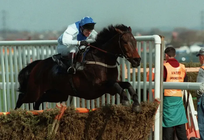 Framed Print : Danoli Ridden By Charlie Swan 14 April 1995 Date: 14 April 1995 Framed Print : Danoli Ridden By Charlie Swan 14 April 1995 Date: 14 April 1995