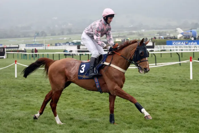 Framed Print : Darkness Ridden By J.A.Mccarthy Cheltenham Festival 2005 Cheltenham Racecourse